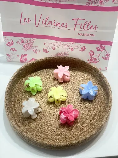 Pince à cheveux mini, coloris au choix