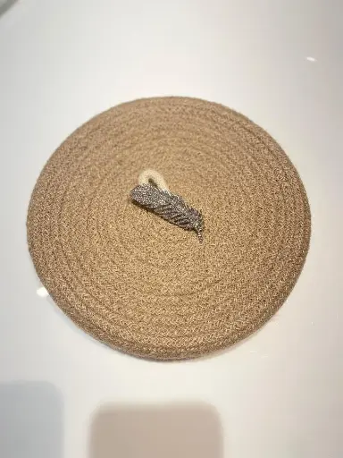 Broche Plume