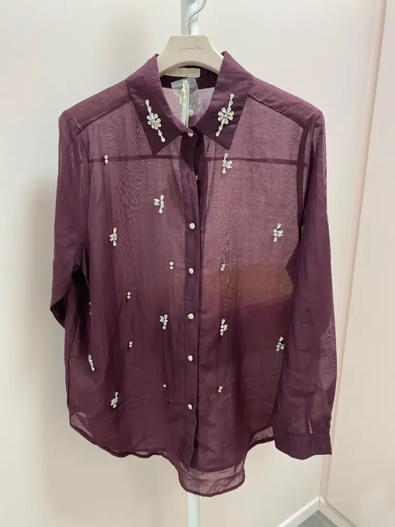 Chemisier transparent strass-TU